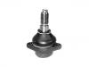 Ball joint:281 407 361