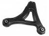 控制臂 Control Arm:3443 999