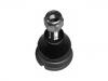 Joint de suspension Ball Joint:0 682 341