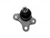 Ball Joint:43350-87501