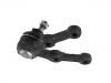 Ball Joint:43330-87580