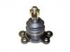 Joint de suspension Ball Joint:44430 03011