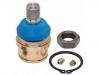 Joint de suspension Ball Joint:AMGK8195T