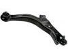 Control Arm:EC01-34-300F