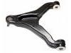 Bras de liaison Control Arm:500334717