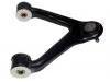 Brazo de suspensión Control Arm:500379802