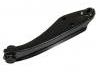 控制臂 Control Arm:7210-60520
