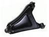 控制臂 Control Arm:77 00 676 325