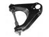 Brazo de suspensión Control Arm:54411-G4000