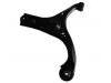 Brazo de suspensión Control Arm:54500-1E100