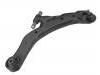 控制臂 Control Arm:54501-2C002