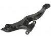Control Arm:48069-08010