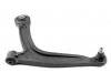 控制臂 Control Arm:50 709 579
