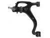 Brazo de suspensión Control Arm:RBJ 500456