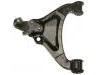 Control Arm:RBJ 101070