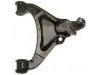 Control Arm:RBJ 101069