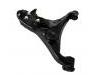 Lenker, Radaufhängung Control Arm:4013A209
