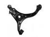 Control Arm:54500 4D001