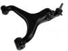 Control Arm:44501-08000