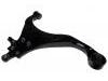 控制臂 Control Arm:54501-2E031