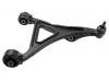 Control Arm:4895040AC