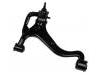 Brazo de suspensión Control Arm:RBJ 500183