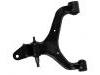 控制臂 Control Arm:44501-09001