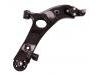 控制臂 Control Arm:54501-2W200