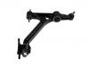 控制臂 Control Arm:B21-2909010