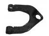 控制臂 Control Arm:54412-H1100