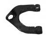 控制臂 Control Arm:54411-H1100