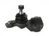 Ball Joint:43330-59145