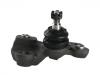 Joint de suspension Ball Joint:43340-59145