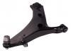 控制臂 Control Arm:20202-SG000