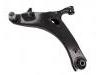 控制臂 Control Arm:20202-FJ030