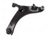 Control Arm:20202-FJ020