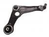 控制臂 Control Arm:54 50 496 71R