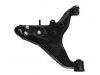 控制臂 Control Arm:6000605883