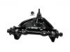 Control Arm:4210876AD