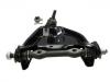 Control Arm:4210877AD